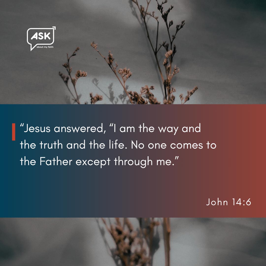 Dried branches and foliage representing hope and faith, Ask About My Faith logo, John 14:6 scripture quote.